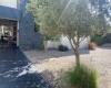 5 Bedrooms Bedrooms, ,Casa,En Venta,1070